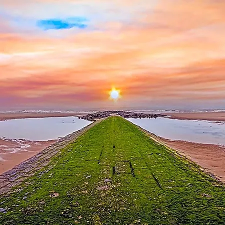 With Sea View And Sunny Terrace Hotel Middelkerke